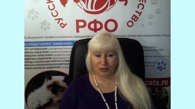 Приемы on-line в профессиональных клубах кошек.