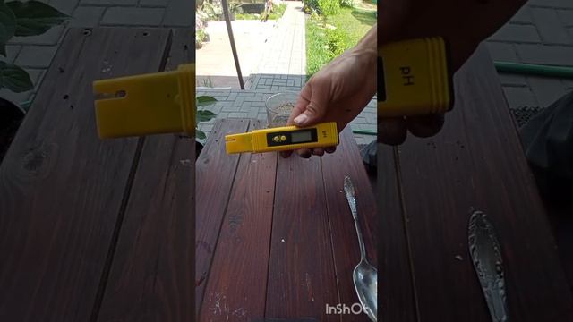 Измерение кислотности грунта у гортензий.