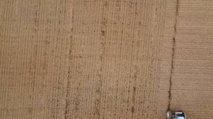 Посевная страда 2025