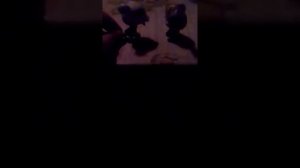 Камень ножницы бумага и бутылка лимонада