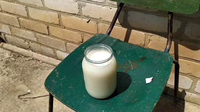 Супер подкормка для рассады перца сладкого.
