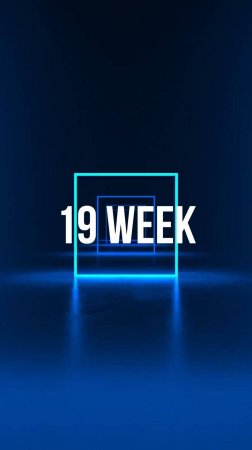 19 week /25