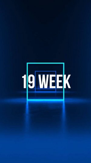 19 week /25