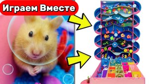 Умный Хомяк исследует коралловый риф 🐹🐠 весёлый подводный лабиринт с ЛОВУШКАМИ 🐹🐠 Видео детям
