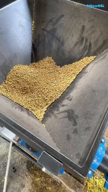 Екструдер соєвий ЕГК 350 робота на сої смотреть онлайн