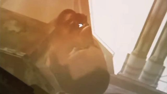 вот реакция круто я не смог тут написать ну круто очень смотреть онлайн