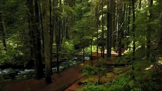 Гарри Поттер и Философский камень. смотреть онлайн