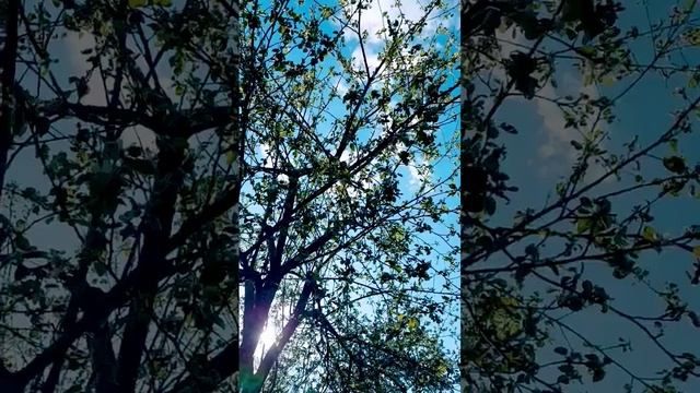 Любимое занятие - наблюдать за облаками ...#подпишись #о смотреть онлайн