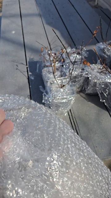 НАЧАЛИ УПАКОВЫВАТЬ МАРТОВСКИЕ ЗАКАЗЫ НА ОТПРАВКУ 2025