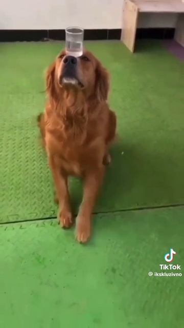 1000089285.mp4