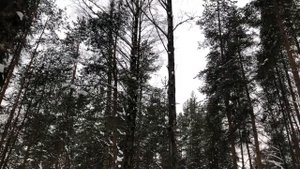 Муж решил заехать за женой, но у нее были другие планы... Интересные истории измен, аудио рассказ