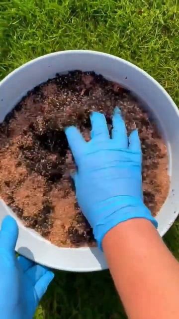 #сад #дача #дом #огород #рецепт #кухня смотреть онлайн