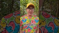Что посадить на участке с разной освещенностью?