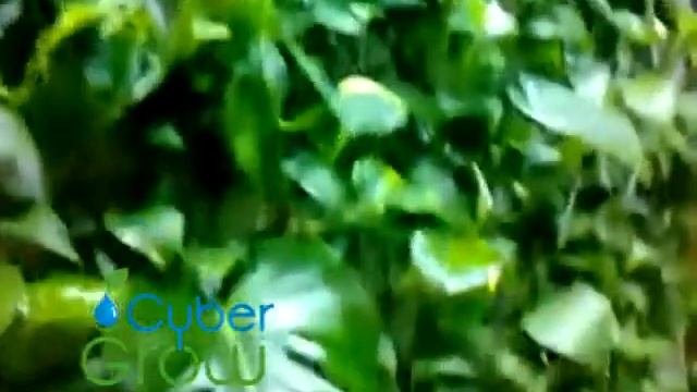 лаборатория смотреть онлайн