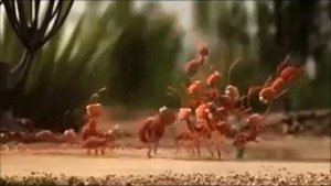 Прикольный мульт про дружбу