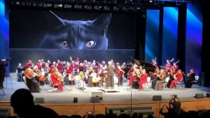 Мой лучший ученик -домрист