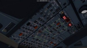 Посадка на кукурузное поле