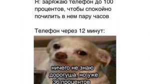 МАНДАРИНЫ ГОНИ!))) Приколы | Мемозг 926