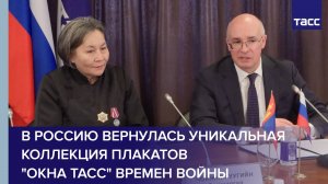 В Россию вернулась уникальная коллекция плакатов "Окна ТАСС" времен войны