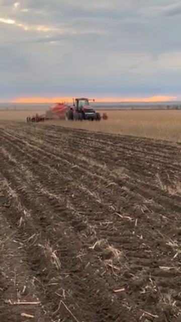 Продам посевной комплекс Horsch