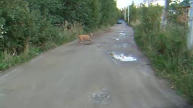 видео Дина 4 смотреть онлайн