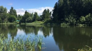 Прудик красота
