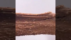 Π‘ΠΌΠ΅ΡΠ½ΡΠ΅ ΠΈΡΡΠΎΡΠΈΠΈ ΡΠΎ ΡΠ»Π°ΠΉΠΌΠ°ΠΌΠΈ + ΠΠ°Π»ΠΈΠΏΠ°ΡΠΊΠΈ