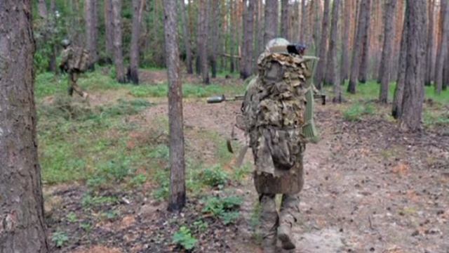 Ключ наших крайних успехов: «Зеленка» плюс катастрофическая нехватка пехоты у ВСУ...