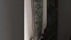 document_5246749739763921037