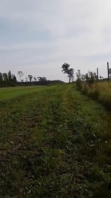 Посадка на трассу миг 29. 25.08.2017 смотреть онлайн