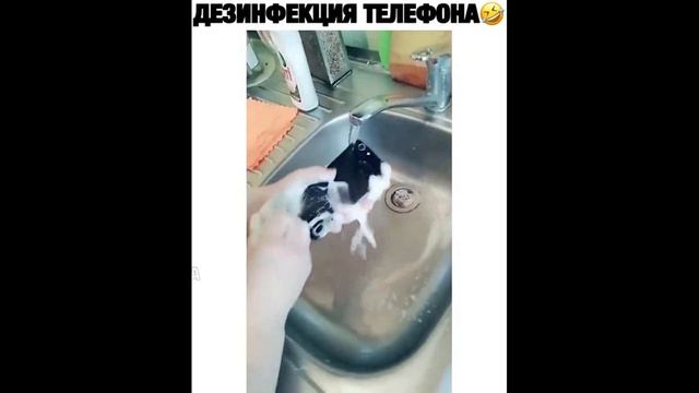 Смех до слез | Лучшие приколы 2020 ОКТЯБРЬ | Best Coub 2020 №75