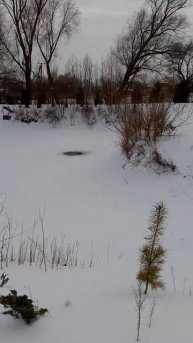 Поиродп ,зимний пруд компрессор , аиратор
