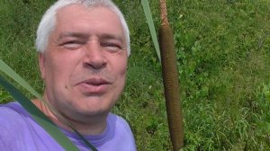 Геннадий Горин на берегу, видео про камыш