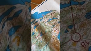 4.05.25 финал Бобровые озера м21 ж18 ж60