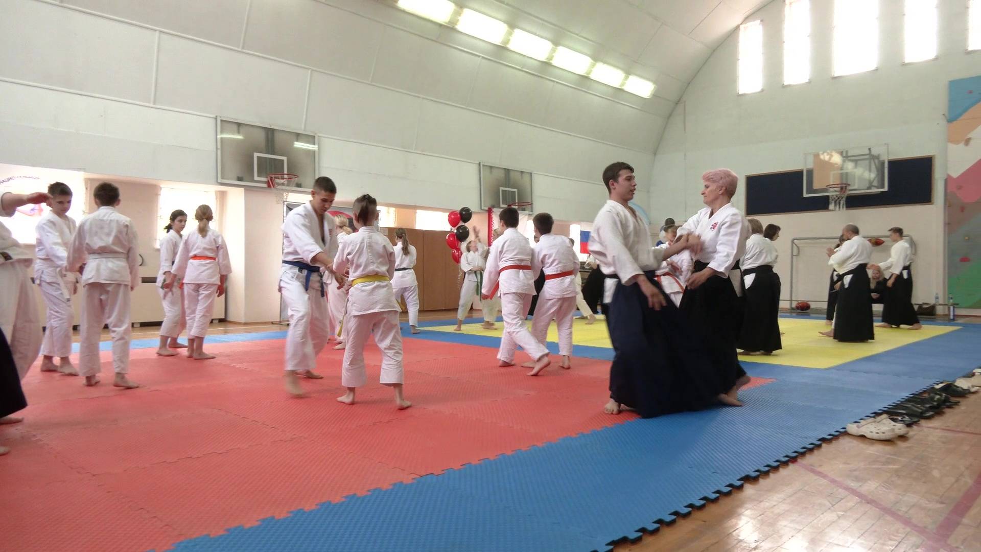 В Марий Эл бойцы айкидо повысили свой уровень смотреть онлайн