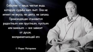Лучшие цитаты о женском и мужском. Афоризмы. Мощные высказывания