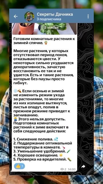 После этого средства муравьев на участке не будет 10 ле