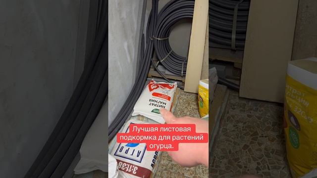Лучшая листовая подкормка для растений.#листоваяподк?