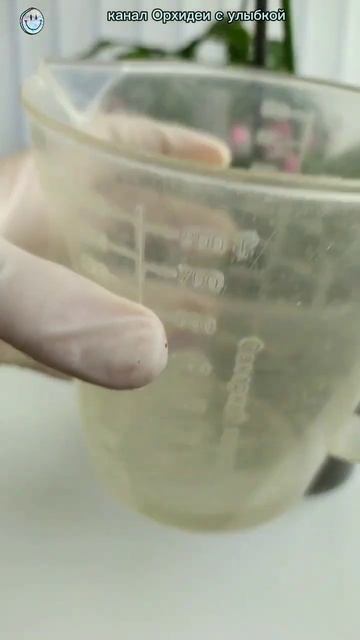 Пересадка и обработка орхидеи ЧАСТЬ 3 #орхидеи #орхиде? смотреть онлайн