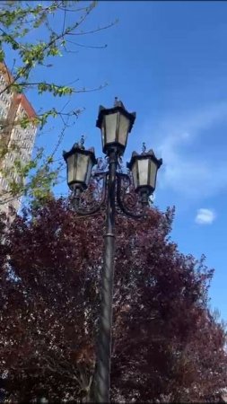VID-20250414-WA0014