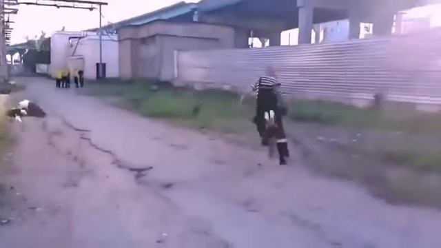 Приколы нарезка 2016 смотреть онлайн