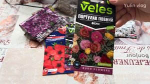 Какие цветы я буду сажать в открытый грунт этой весной