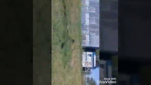 Как я хожу домой из школы:Sav va TV смотреть онлайн