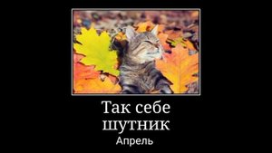 В Главных ролях: месяца