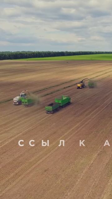 Цифровизация агропредприятия 2 #агробизнес #сельхозте смотреть онлайн