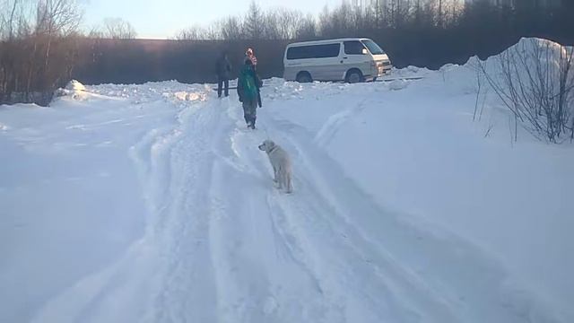 Предположительно, гора Хермон. נבחרת ישראל בסיום. смотреть онлайн