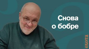 Снова о бобре. Валерий Кузенков о регуляции численности бобра