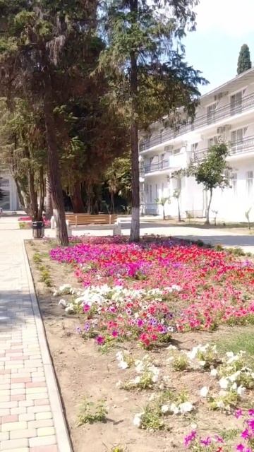 Сухум,прекрасная Абхазия! Осень смотреть онлайн