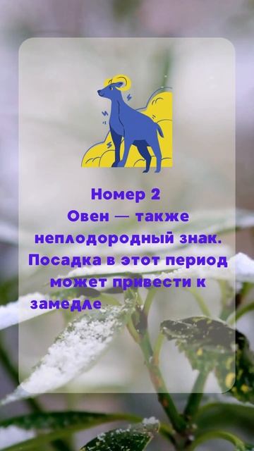 Посевной календарь 2025 #благоприятныедни #рассада #пос?