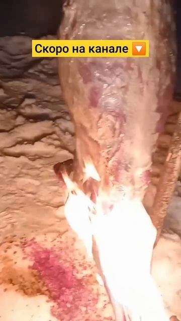 Готовим барбекю из баранины #рек #мясо #баран #ет #қой #қ смотреть онлайн